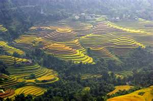 SAPA VIETNAM EASY TRIP 3 DAYS