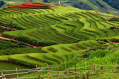 Sapa Train