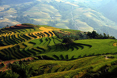 Sapa Impressive Trekking Tour